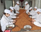 四害消殺：食品、加工行業