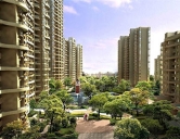 四害消殺：家庭、公寓物業小區